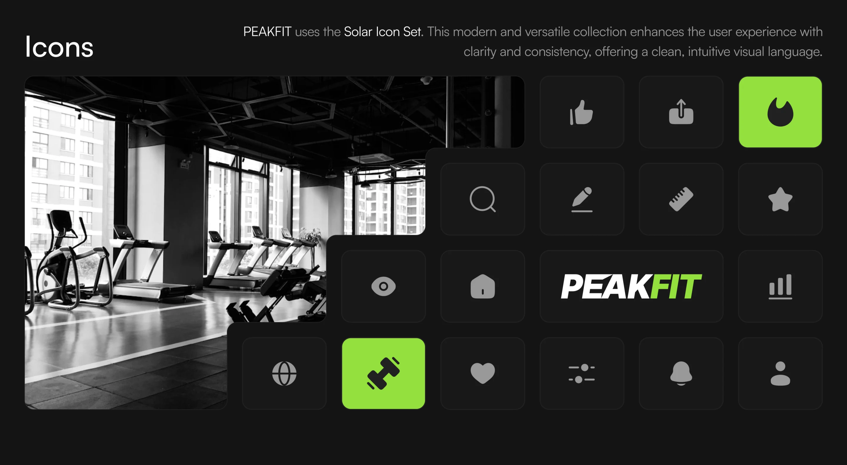 PEAKFIT design system presentation