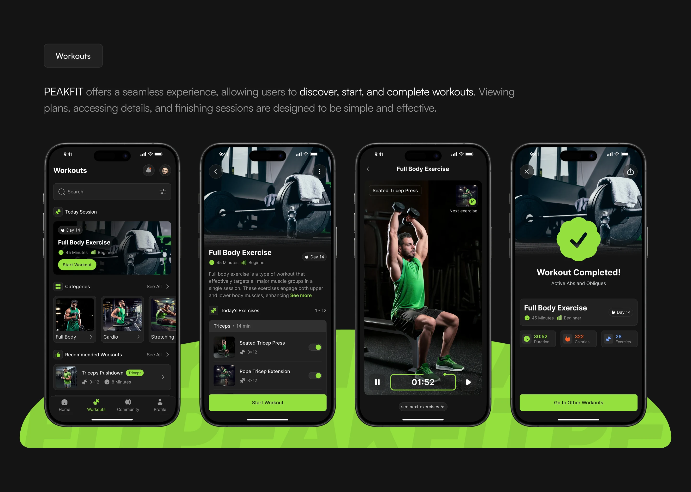 PEAKFIT key flows presentation